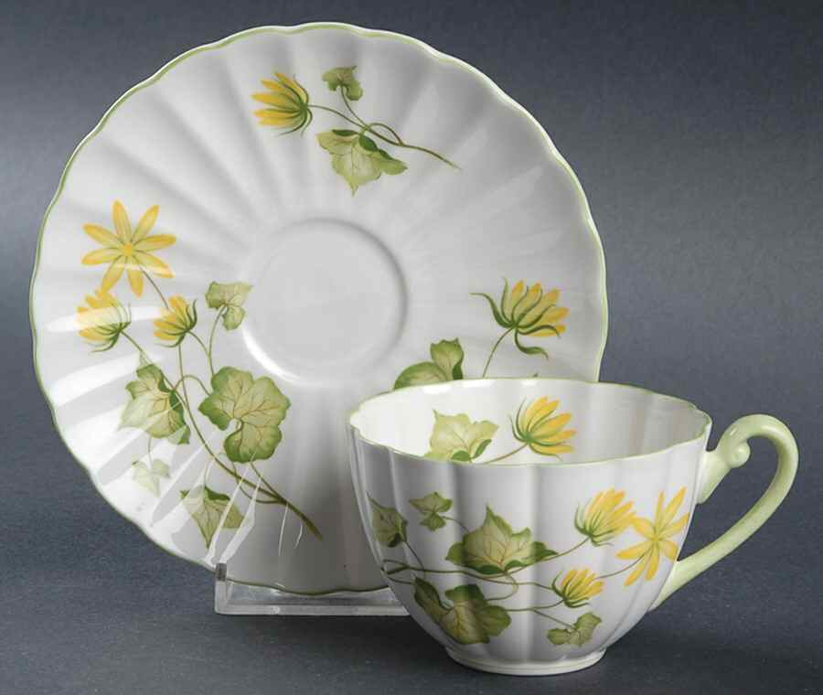 Celandine Flat Cup & Saucer Set by Shelley-1