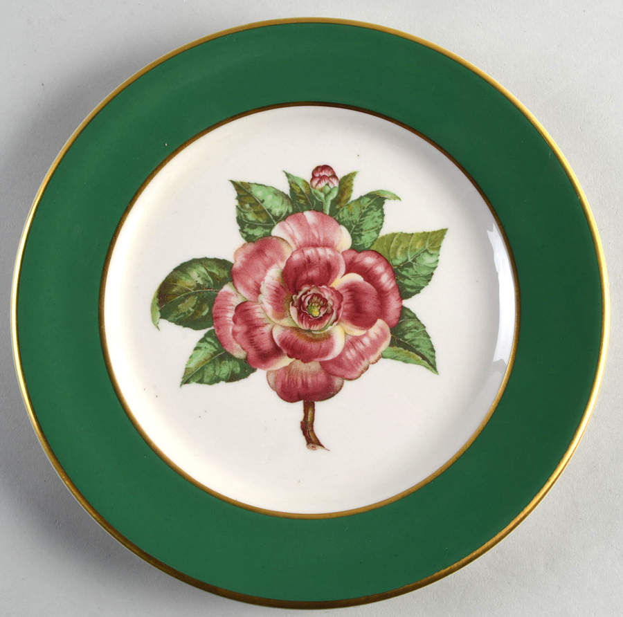 SY734 Dinner Plate by Syracuse-1
