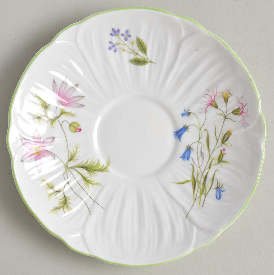 Wild Anemone Saucer by Shelley-1