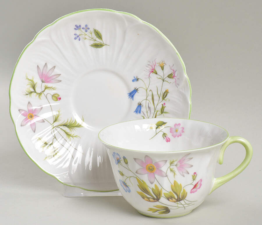 Wild Anemone Flat Cup & Saucer Set by Shelley-1