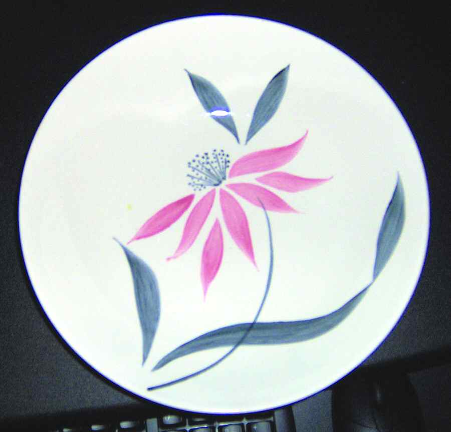 STT285 Dinner Plate by Stetson-1