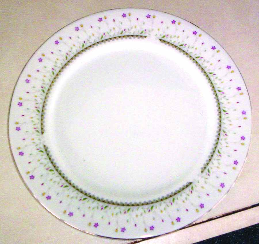 SNC1 Dinner Plate by Sang (China)-1