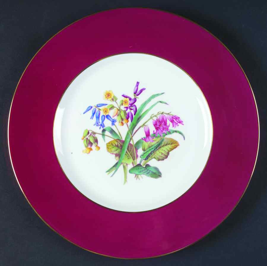 Daisy & Rose Dinner Plate by Spode-1