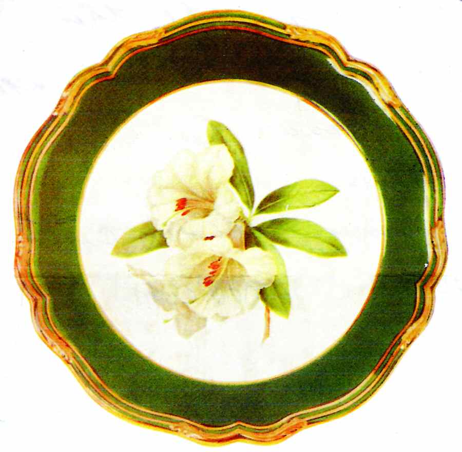 Y7051 Service Plate (Charger) by Spode-1