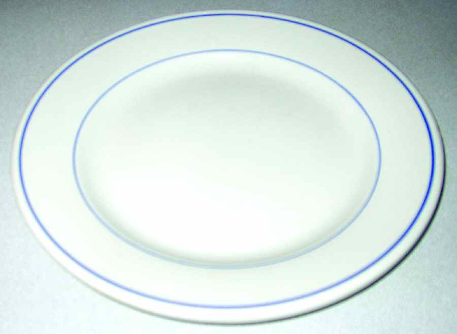 SGN15 Dinner Plate by Sarreguemines-1