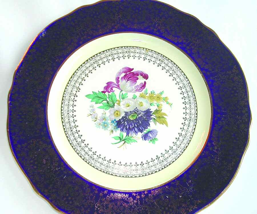 STB296 Dinner Plate by Steubenville-1