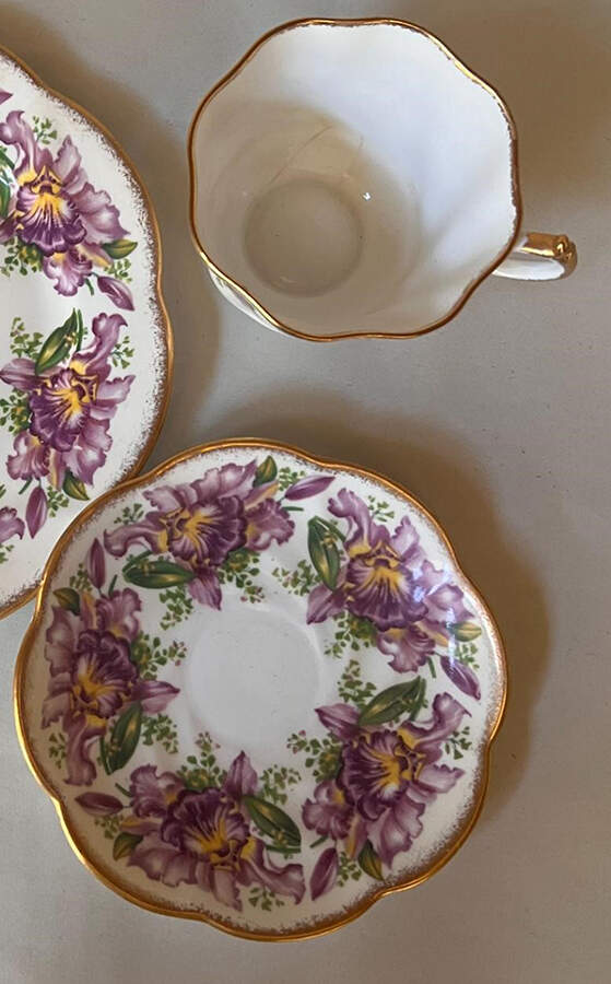 Garland Flat Cup & Saucer Set by Salisbury-1