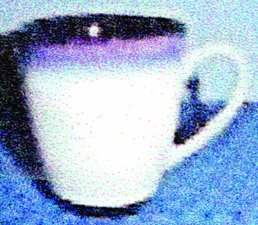 Nova Plum Mug by Sango-1
