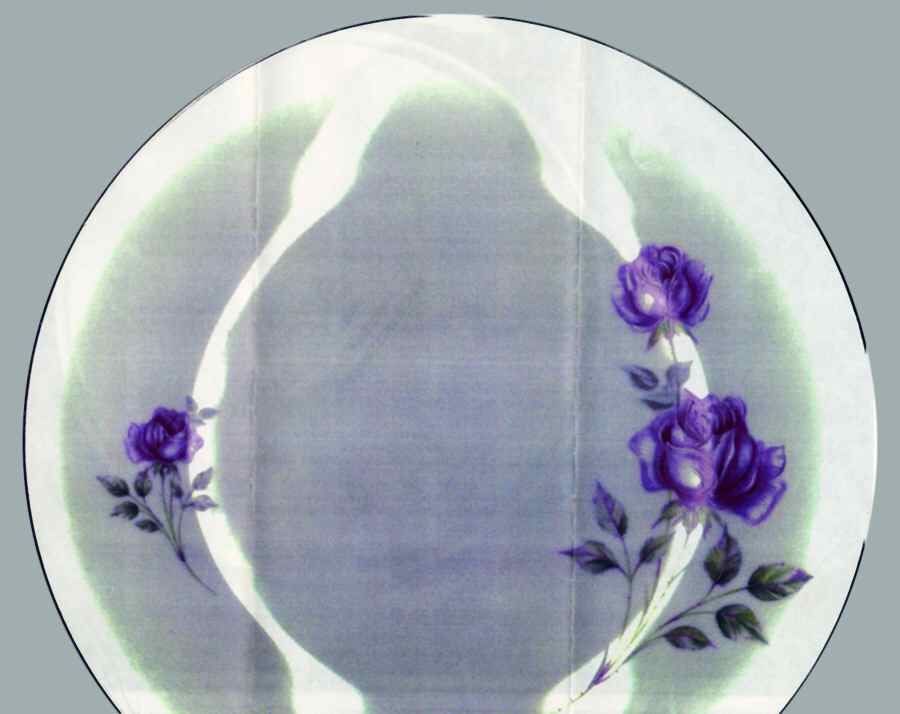 Fountainebleau Dinner Plate by Scherzer-1