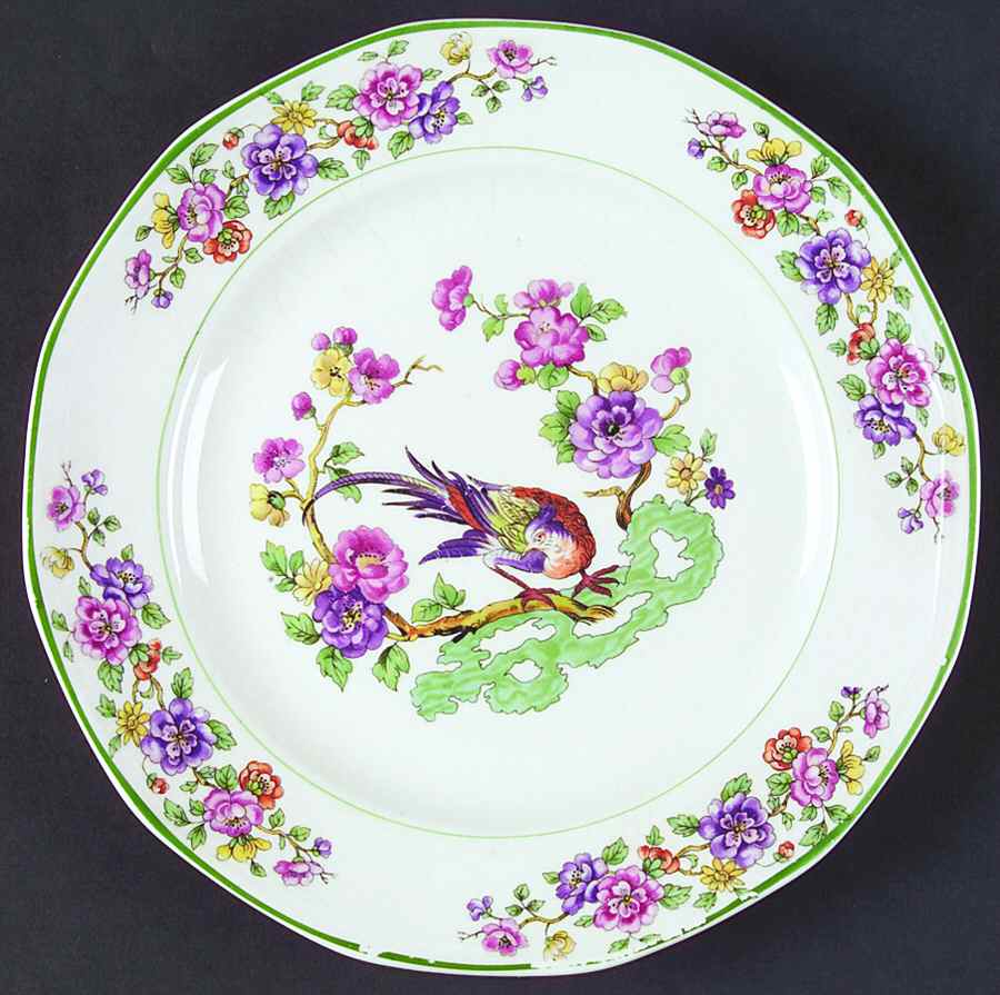 SLM283 Dinner Plate by Salem-1