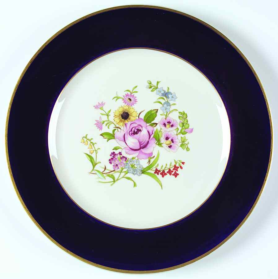 SY753 Dinner Plate by Syracuse-1