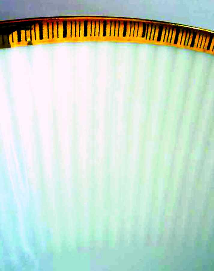 SLT327 Dinner Plate by Seltmann-1