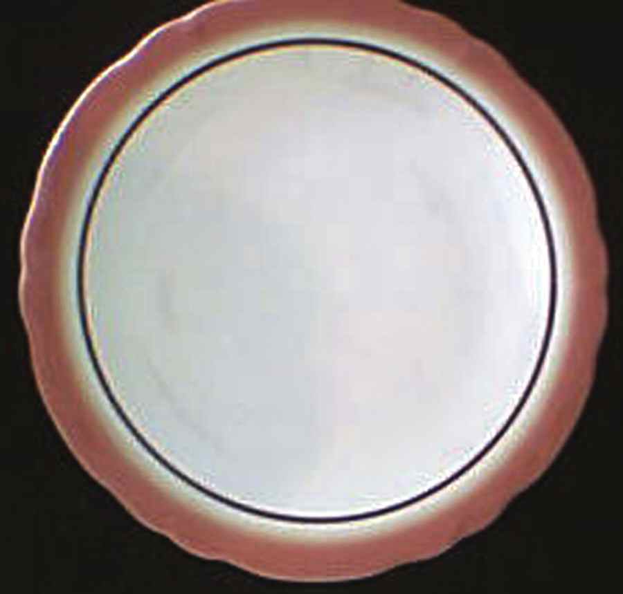 SHO267 Dinner Plate by Shenango-1