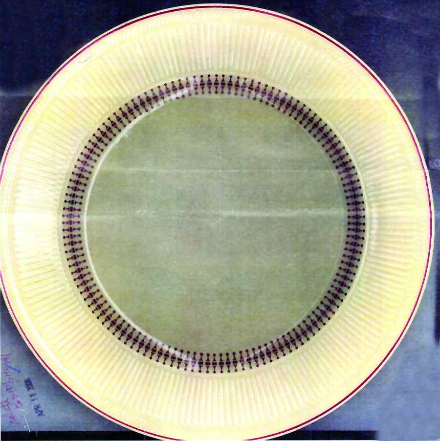SHO268 Dinner Plate by Shenango-1