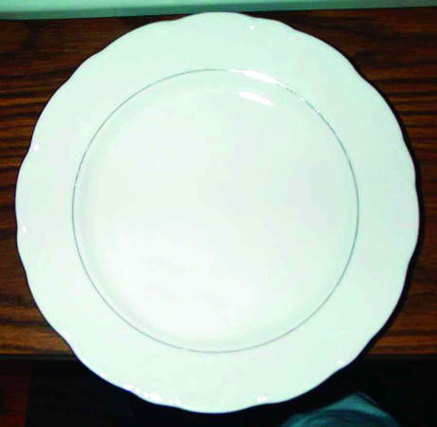 SCG59 Dinner Plate by Schirnding-1