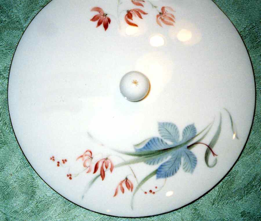 Autumn Lid for Round Vegetable by Schonwald-1