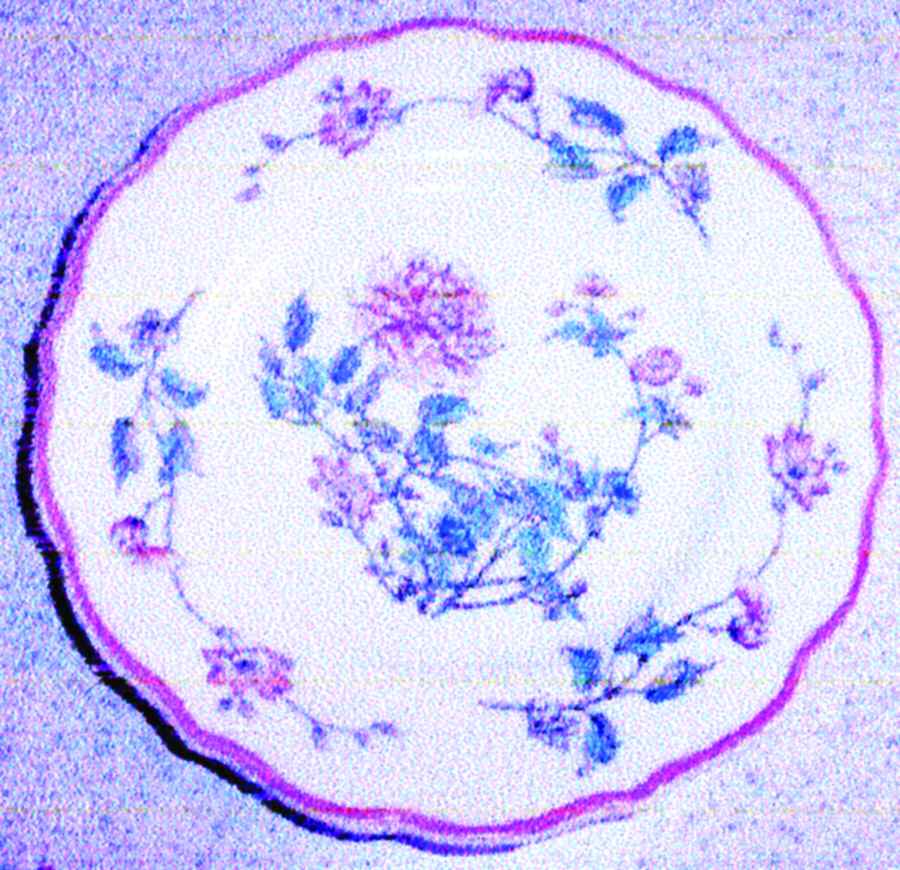 SY759 Dinner Plate by Syracuse-1