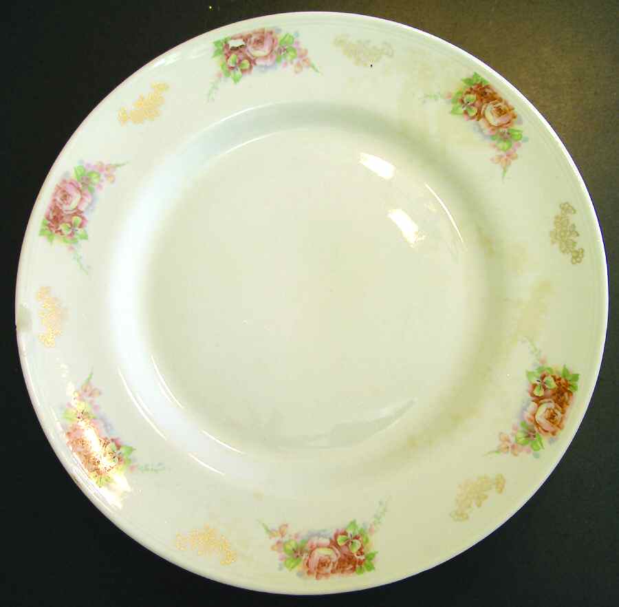 STB300 Dinner Plate by Steubenville-1