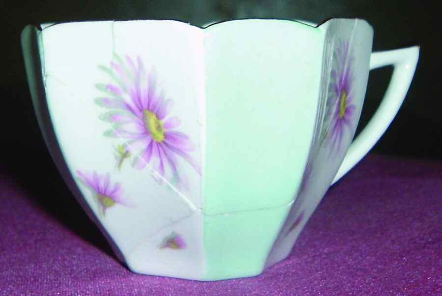 SHE54 Flat Cup by Shelley-1