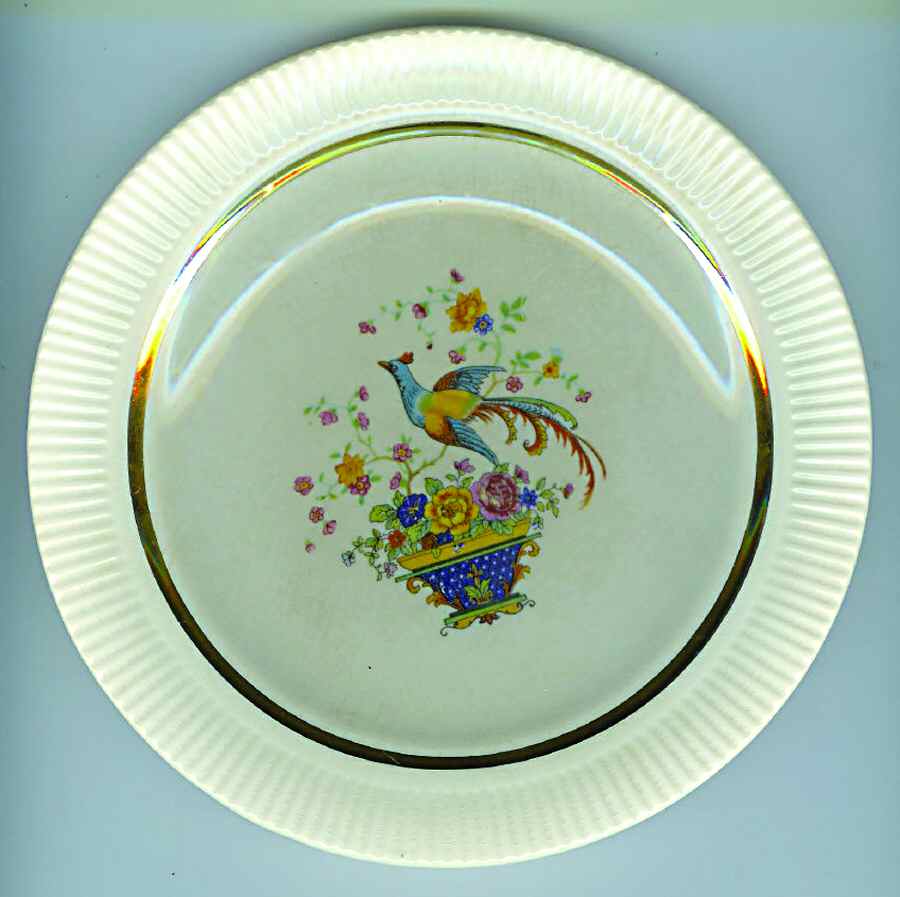 SLM289 Dinner Plate by Salem-1