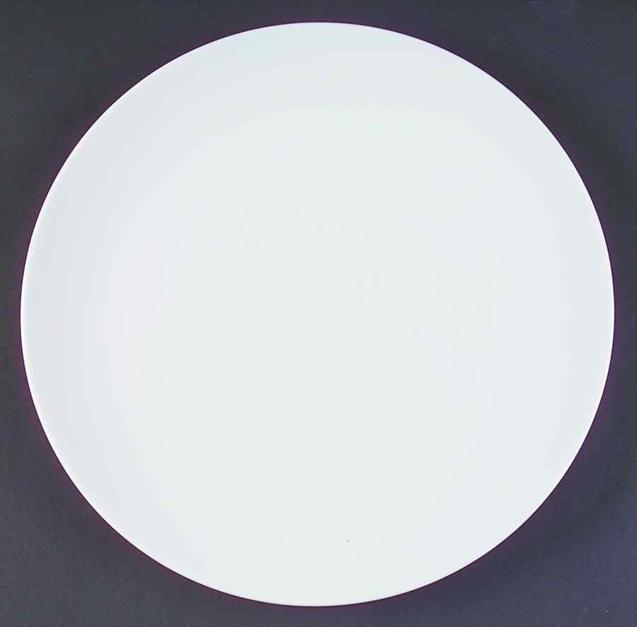 Gourmet Basics Dinner Plate by Studio Nova-1