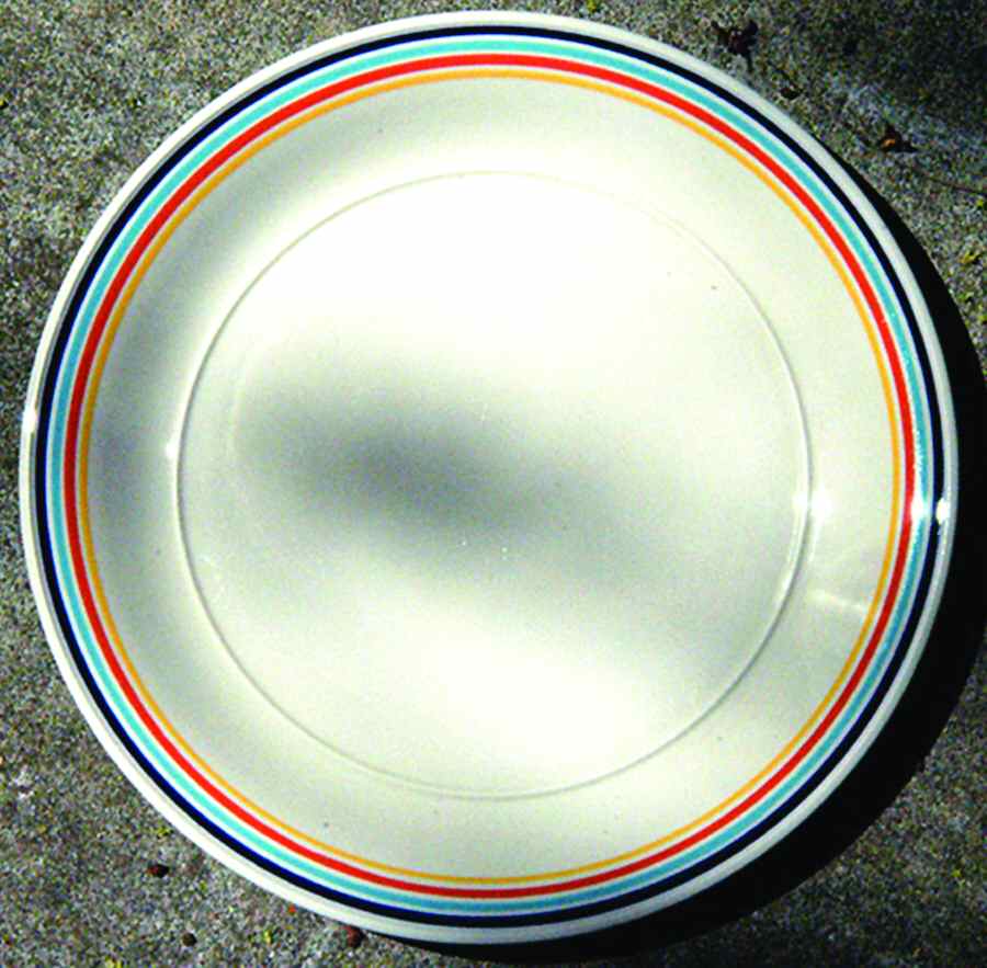 Spectrum Multicolor Dinner Plate by Studio Nova-1
