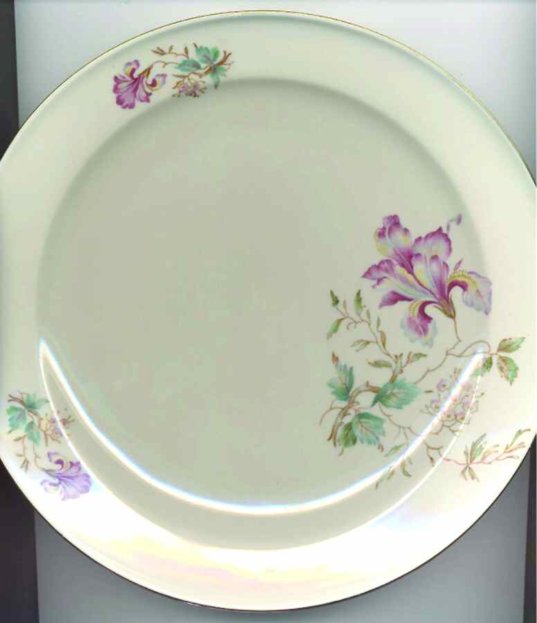 SLT333 Dinner Plate by Seltmann-1