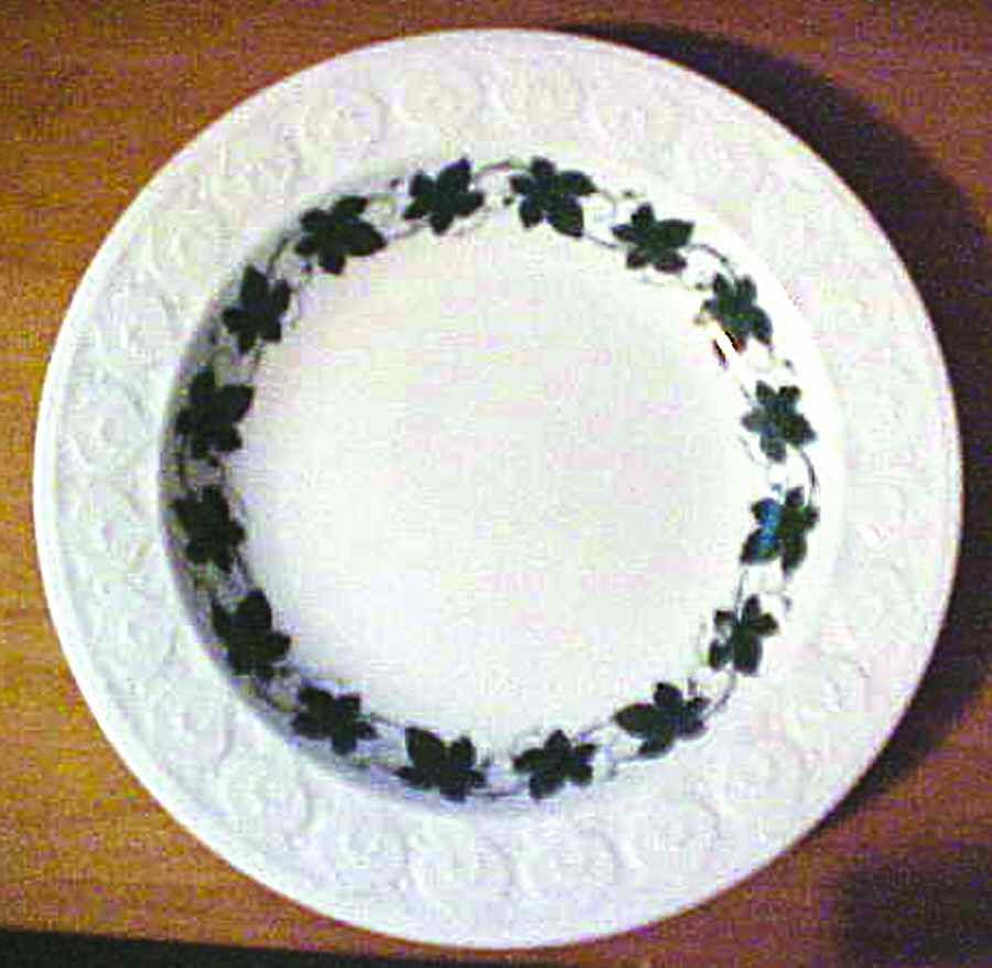 SCG60 Dinner Plate by Schirnding-1