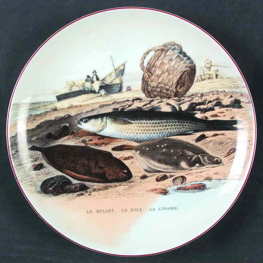 Fruits de Mer Salad Plate by Sigma-1