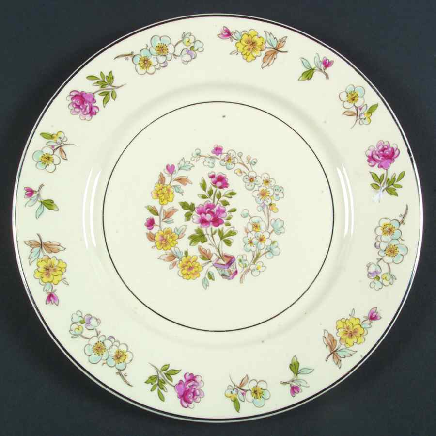 53u Dinner Plate by Salem-1