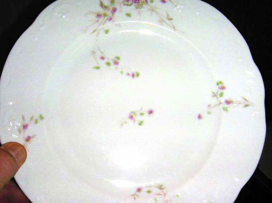 SY776 Dinner Plate by Syracuse-1