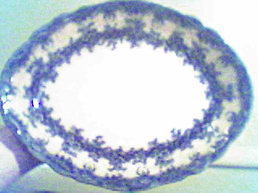 Milan 12" Oval Serving Platter by Samuel Ford-1