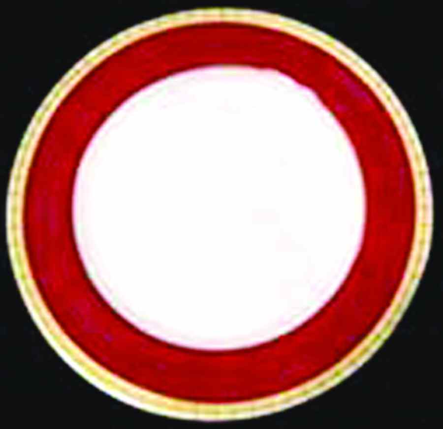 SP435 Dinner Plate by Spode-1