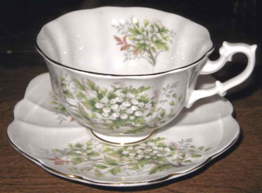 SHE58 Footed Cup & Saucer Set by Shelley-1