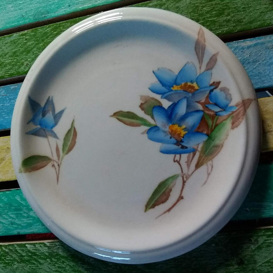 Syringa Blue Coaster by Shelley-1