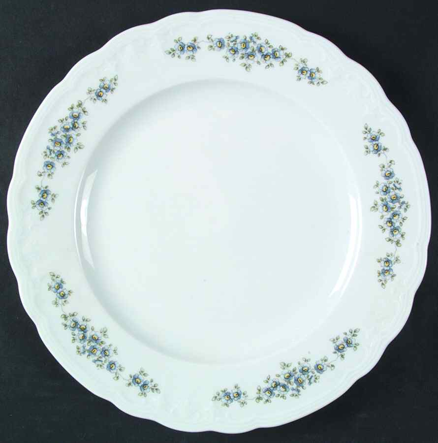 SLT339 Dinner Plate by Seltmann-1