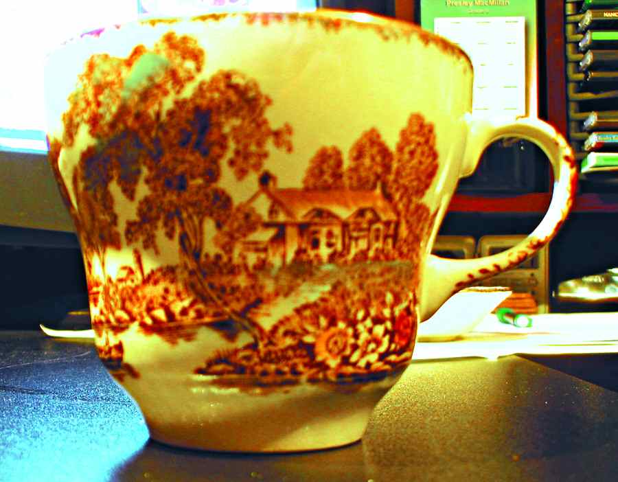 The Ferry Brown Multicolor (Gold Trim) Flat Cup by Swinnertons-1