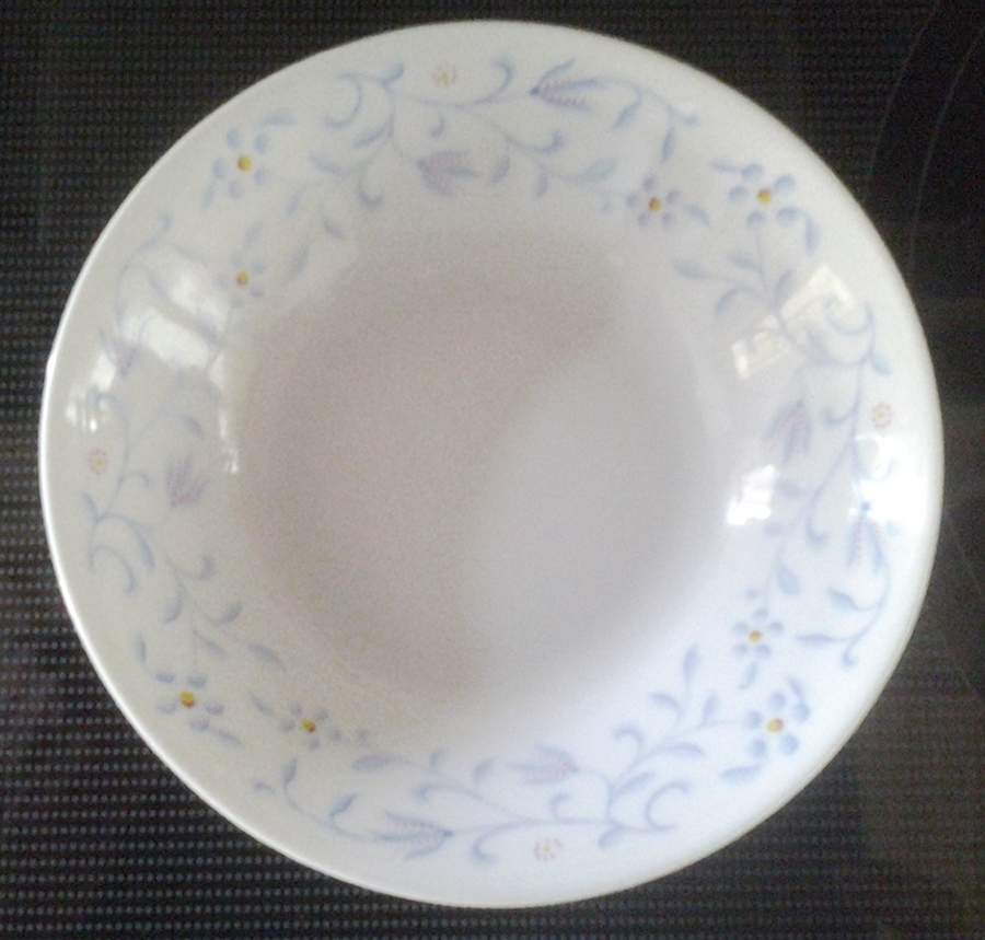1817 Fruit/Dessert (Sauce) Bowl by Seltmann-1