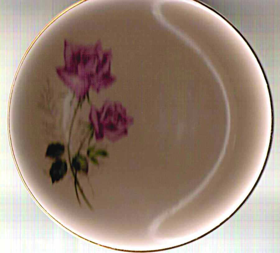 Frederika Dinner Plate by Swinnertons-1