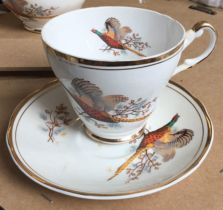 Pheasant Footed Cup & Saucer Set by Sheriden (England)-1