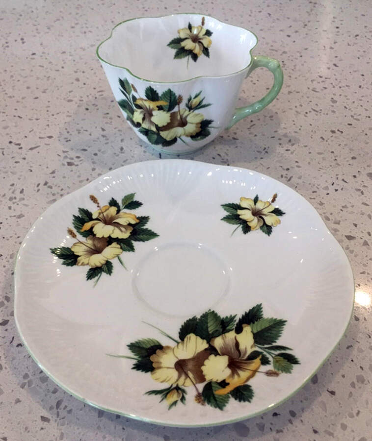 Hibiscus Flat Cup & Saucer Set by Shelley-1