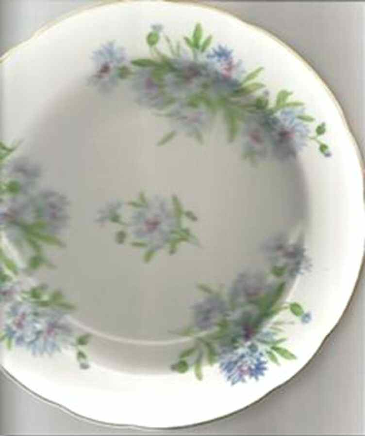 SAN93 Dinner Plate by Sango-1