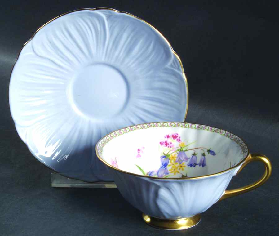 Wild Flowers Oleander Footed Cup & Saucer Set by Shelley-1