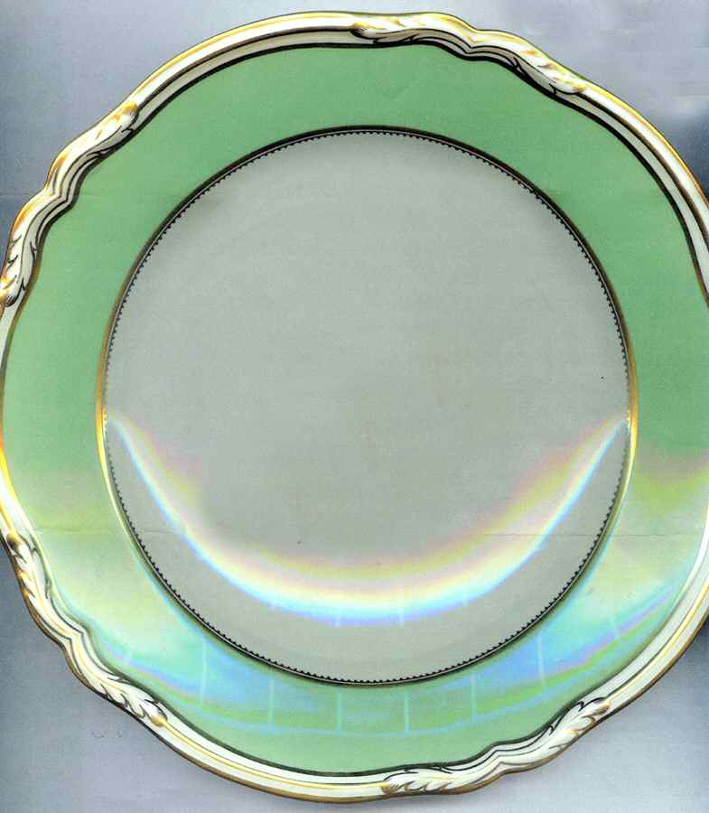 Y4387 Luncheon Plate by Spode-1