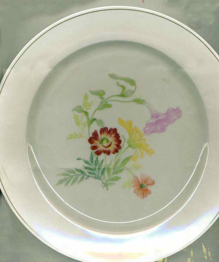 SCD90 Dinner Plate by Schonwald-1