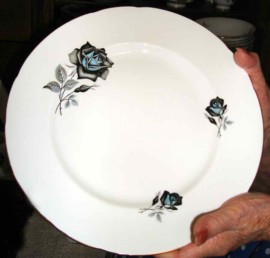 STF40 Dinner Plate by Staffordshire-1
