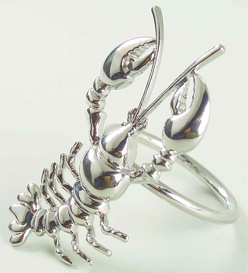 Nantucket Metal Napkin Ring by Sonoma Home-1
