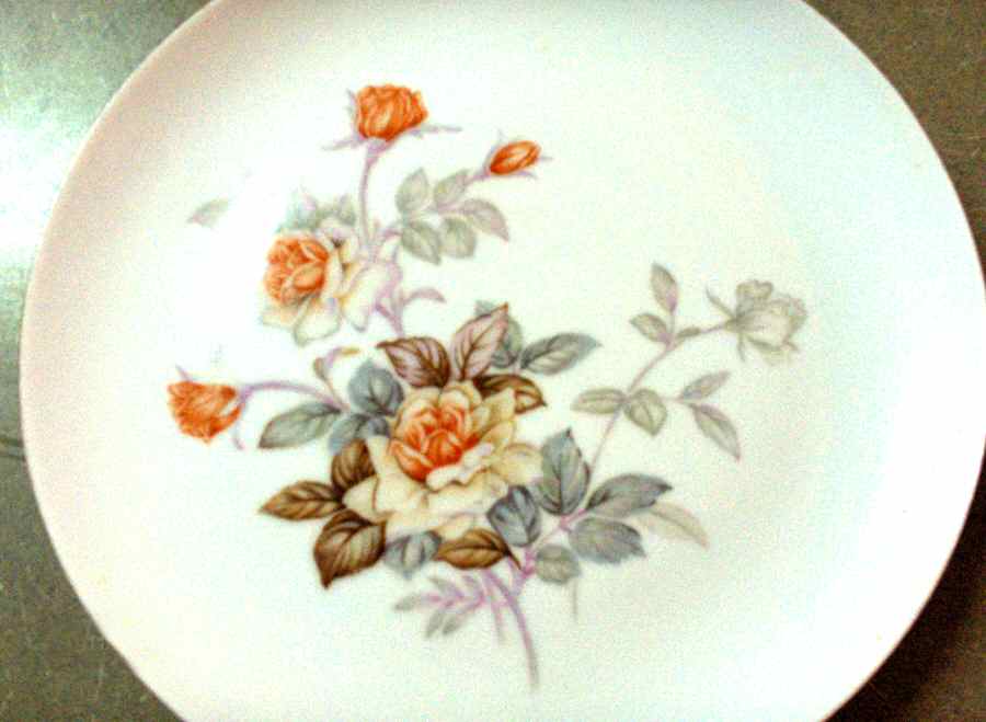SON90 Dinner Plate by Sone-1