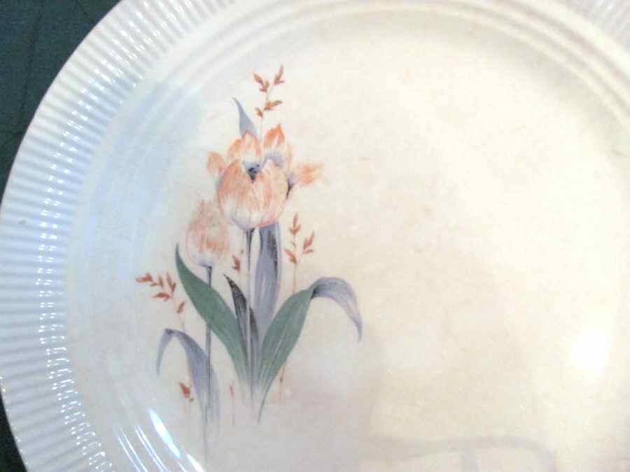 Tulip Luncheon Plate by Salem-1
