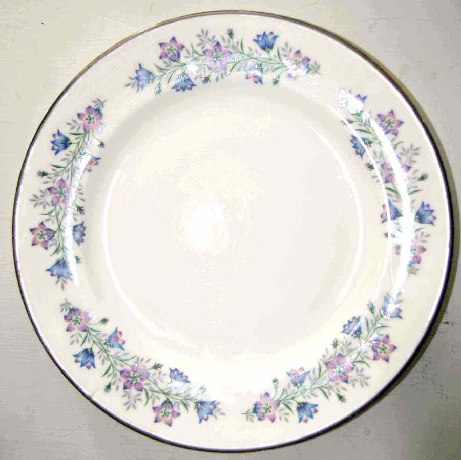 H178 Dinner Plate by Spode-1